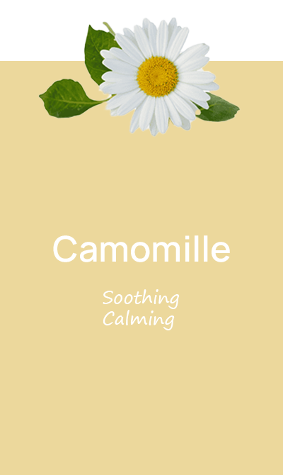accent of the month camomille